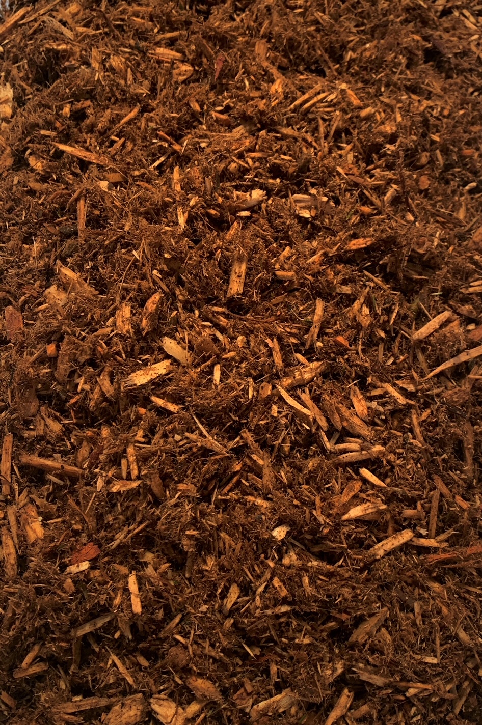 新品】oldsea Mulch woodunder 新品】oldsea Mulch woodunder Standard