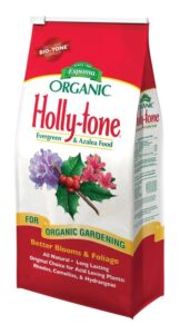 Holly Tone