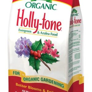 Holly Tone