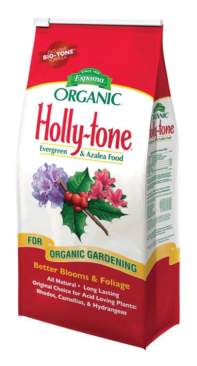 Holly Tone