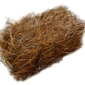 Pine Straw